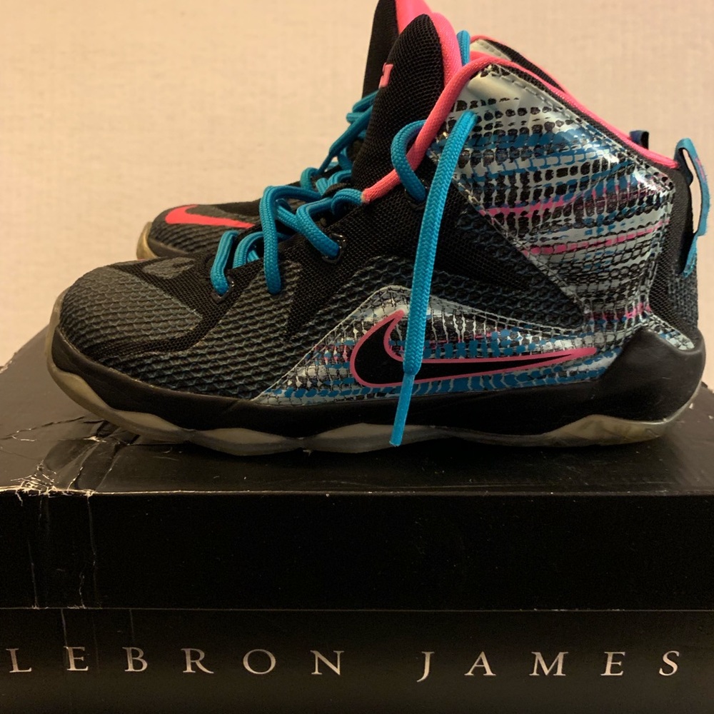 Lebron XII Chromosomes basketball shoe
